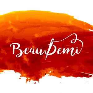 Logo van Inja Pater voor BeauDemi